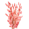 Bunny Tails Pink 120 Stems